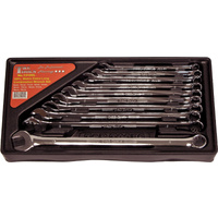 10 Piece Metric Extra-Long Combination Wrench Set T&E Tools 13100L