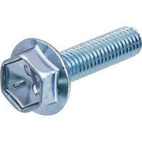 Bolt 01550-0625A for Suzuki