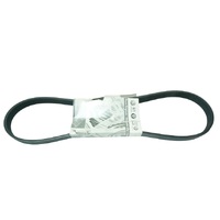 Ribbed V-Belt 037903137G for Volkswagen