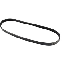 Ribbedbelt 03L119137 for Volkswagen