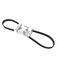 Ribbedbelt 04L260849C for Volkswagen