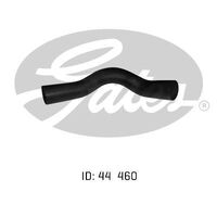Radiator Hose Lower Gates 05-0243 for LEYLAND-INNOCENTI P76 4.4L 1973-14976 PETROL