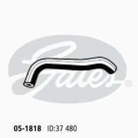 Radiator Hose Lower Gates 05-1818 For Ford Falcon BA BF FG 4.0l