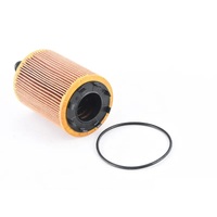Oil Filter 071115562C for Volkswagen