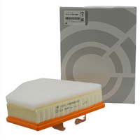 Genuine Air Filter Element (13717797465) For BMW