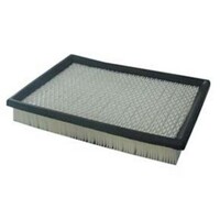 Air Filter ACA196 AcDelco For Jeep Grand Cherokee WH, WK SUV V8 4x4 4.7LTP - EVA