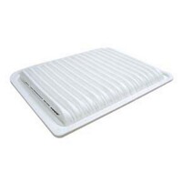 Air Filter ACA199 AcDelco For Ford Falcon FG X Sedan i XR6, G6E 4.0LTP - BARRA 195