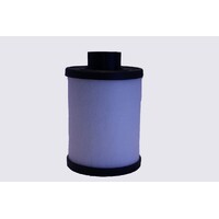 Fuel Filter ACF183 AcDelco For Fiat Ducato 250_, 290 Van 120 Multijet 2,3 D 2.3LTD - FPT,F1AE0481D