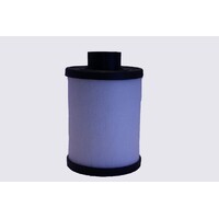 Fuel Filter ACF183 AcDelco For Holden Astra AH Hatchback 1.9 CDTI 1.9LTD - Z19DTH