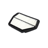 Air filter 22745824 for GM Holden Captiva 5, CG Genuine