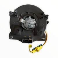 Terminal 24436919 for GM Holden