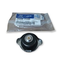 CAP ASSY-RADIATOR for Hyundai 253301P000