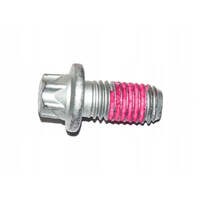Torx bolt 31103413500 For BMW