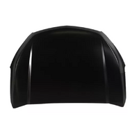 Bonnet - Hood Asm 52085777 for GM Holden