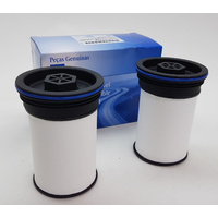 Fuel Filter Suits Holden Colorado RG 2012-2018 Genuine 52100212 Diesel (2 filter pack)