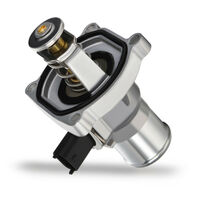Thermostat & oring suitable for Holden Cruze