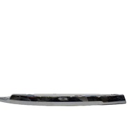 Molding 5NA853841D2ZZ for Volkswagen