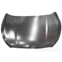 Panel Assy-Hood 664002S001 for Hyundai