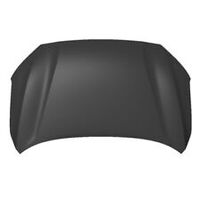 Panel Assy-Hood 66400D3000 for Hyundai
