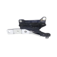 Hinge Assembly-Hood lh 66910N9000 for Hyundai