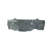 Panel Assy-Back 691001R300 for Hyundai