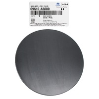 Door Assembly-Fuel Filler 69510A5000 for Hyundai