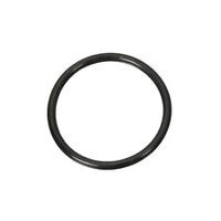 O Ring-12.3X2.4 806912200 for Subaru