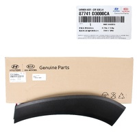 Garnish Assembly-Quarter Side Lh 87741D3000CA for Hyundai