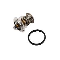 Thermostat Kit 89018168 for GM Holden