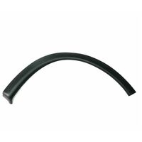 Moulding Rh Whch 90428152 for GM Holden