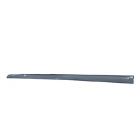 Molding Asm-Frt S/D Ctr 92078432 for GM Holden