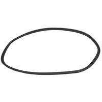 Weatherstrip R/Cmpt Lid 92232696 for GM Holden