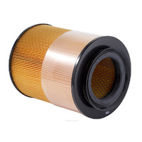 Air Filter Ryco A1387 for
