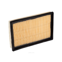 Air Filter A1430 Ryco For Hyundai Accent 1.5LTP G4EC LC Hatchback 1.5