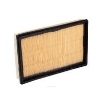 Air Filter Ryco A1430 for HYUNDAI ACCENT, LC, 1.5L 1.6L
