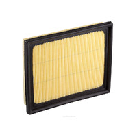 Air Filter Ryco A1752 for Lexus CT NX Toyota Corolla Prius