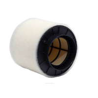 Air Filter A1837 Ryco For Audi S5 3.0LTP S/C CREC 8T  8T Coupe S5 quattro
