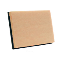 Air Filter A1852 Ryco For BMW X5 3.0LTD M57D30 (306D5) E70 SAVsd