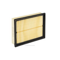 Air Filter Ryco A1961 for