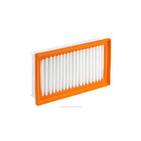 Air Filter Ryco A1964 for