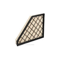 Air Filter Ryco A1993 for