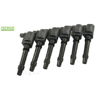 Ignition Coil Set - For Ford 6 Pack Goss C198M