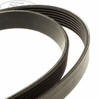 Drive Belt Suits Ford Transit VM 2011-2014 2.2l Genuine CC1Q6C301FA