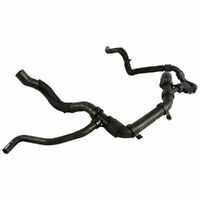 Hose Radiator Lower DG938286GH For Ford