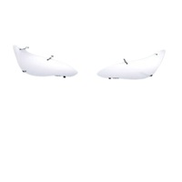 Headlamp Protector J101AFJ100 for Subaru