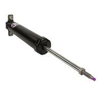 Shock Absorber Assembly JR3Z18125L For Ford