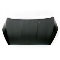 Hood PF1EBA16610AA For Ford