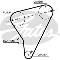 Timing Belt  Gates T016
