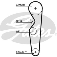 PowerGrip�� Belt