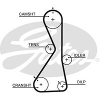 Timing Belt  Gates T1021
